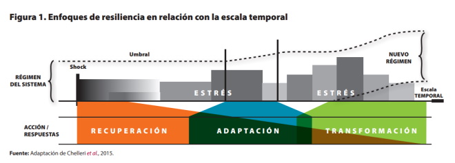 La adaptación de las ciudades al calor está funcionando, pero puede mejorar con más vegetación – The Conversation